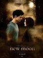 New Moon Poster fanmade - twilight-series photo