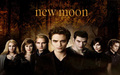 New Moon - The Cullens! - the-cullens photo