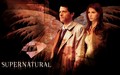 supernatural - SPN* Castiel wallpaper