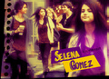 Selena - selena-gomez fan art