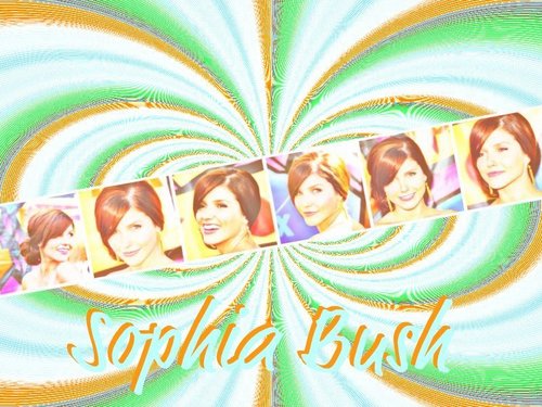  Sophia ブッシュ <3