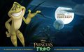 the-princess-and-the-frog - The Princess and the Frog  wallpaper