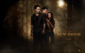 twilight-series - Twilight Series Bella and Edward wallpaper