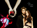 Twilight Series Bella and Edward - twilight-series wallpaper