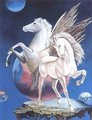 Unicorn and Pegasus - unicorns photo