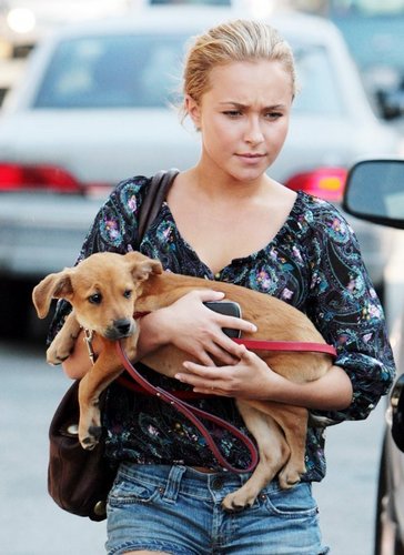  Walking With Her New perrito, cachorro In Los Angeles