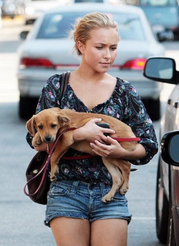  Walking With Her New щенок In Los Angeles