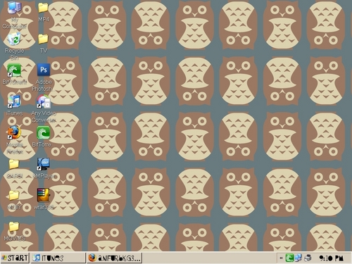  my new desktop background... OWLS!