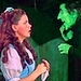 Dorothy and The Witch of the West - the-wicked-witch-of-the-west icon