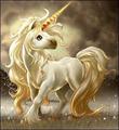 Goldie - unicorns photo