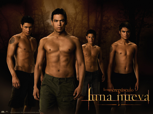  Luna Nueva - Official wallpaper