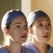 Meredith/Cristina - greys-anatomy icon