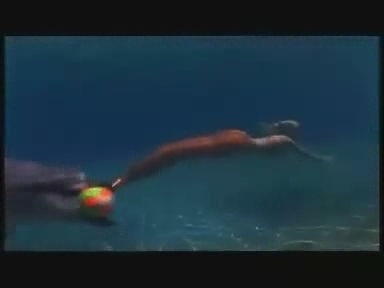  Mermaid with ikan lumba-lumba, lumba-lumba season 3