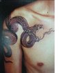 Snake Tattoo. - tattoos photo