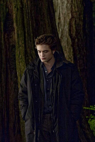  The Newest photos From 'New Moon'