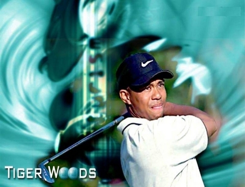  Tiger Woods