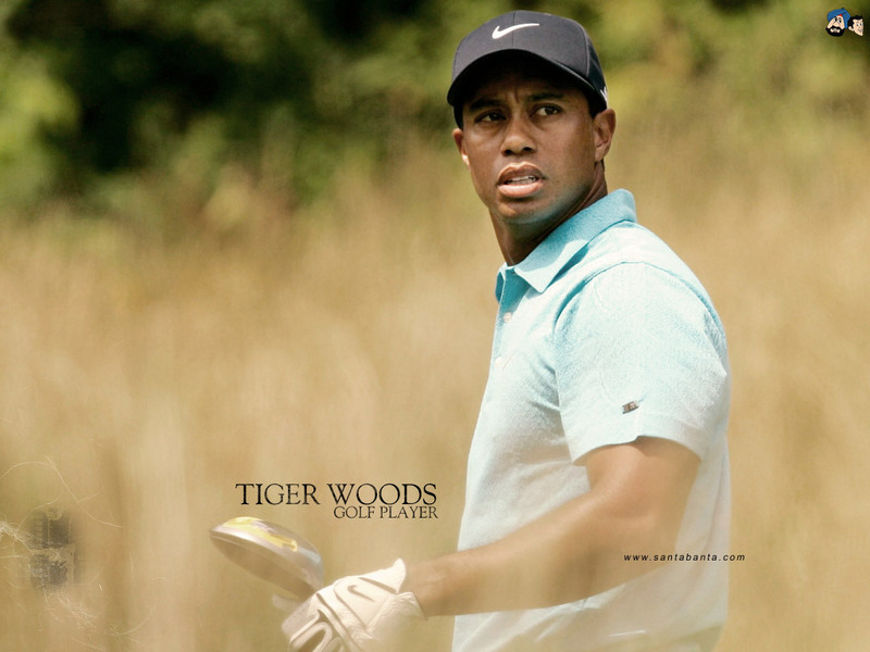 tiger woods logo wallpaper. Tiger Woods