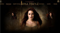 from the new moon site "la saga crepusculo" - twilight-series photo