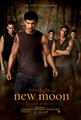 3 new 'new moon' posters! - twilight-series photo