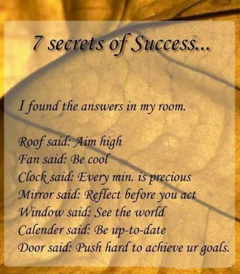  7 secrets of success