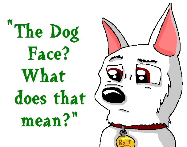 Anime Picture - The Dog Face (Drawn by Me) - Disney's Bolt Photo (8326249)  - Fanpop