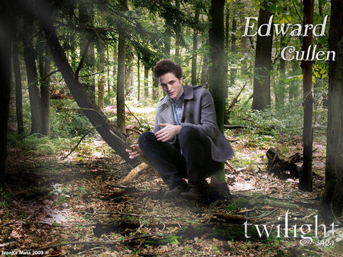  Edward at the Forest!