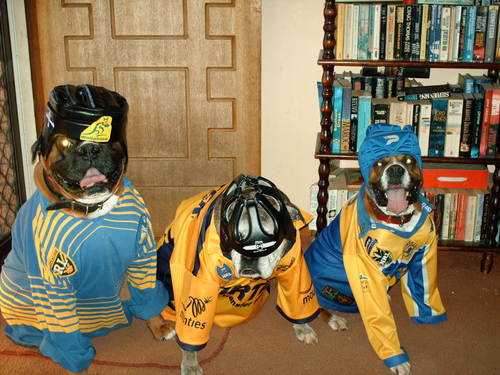 Even the Dogs go for Parra now!