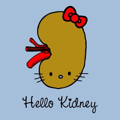  Hello Kidney