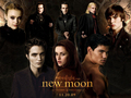 New Moon Wallpaper (very nicely done!) - twilight-series photo