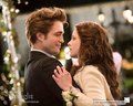 New (and beautiful !! ) Promotional Twilight Stills (Wanna see more, the tag is on it:)) - twilight-series photo