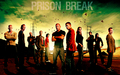 prison-break - Prison Break Wallpaper wallpaper