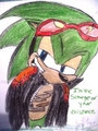 Scourge of Your Existance - scourge-the-hedgehog fan art