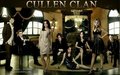 The Cullen Clan - twilight-series fan art