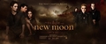 another new new moon poster - twilight-series photo