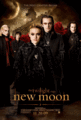 the 3 New 'New Moon' Posters gif - twilight-series photo