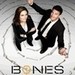 BB Icons from S5 Wallpepers - booth-and-bones icon
