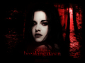 Bella Cullen -  Breaking Dawn - twilight-series wallpaper