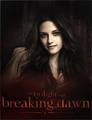 Bella Cullen - Breaking Dawn - twilight-series fan art