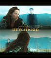 Bella New Moon Promo Poster # 1 - new-moon-movie fan art