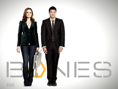  Booth and Brennan 壁纸