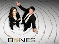 booth-and-bones - Booth and Brennan Wallpapers wallpaper