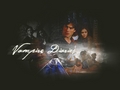 the-vampire-diaries-tv-show - Damon & Elena wallpaper