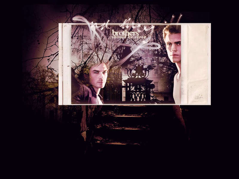 vampire diaries wallpaper stefan. Damon amp; Stefan - The Vampire