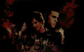 the-vampire-diaries-tv-show - Damon & Stefan wallpaper
