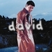David B. <3 - david-boreanaz icon