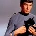 Even the cats love Spock - star-trek icon