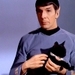 Even the cats love Spock - star-trek icon