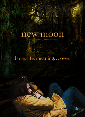 प्रशंसक Made New Moon Posters