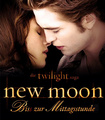 German Bella & Edward New Moon Poster - new-moon-movie fan art