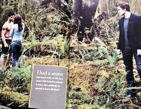  HQ New Moon Mag Scan 写真